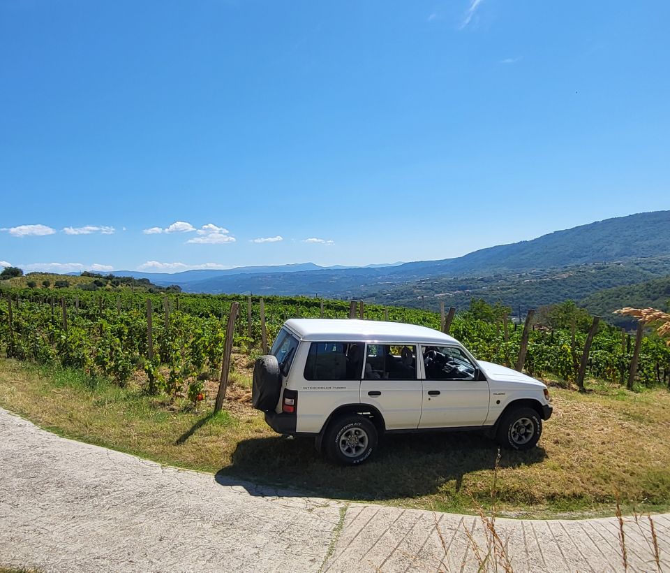 /default/2024/Dozivetja/Istria Safari/